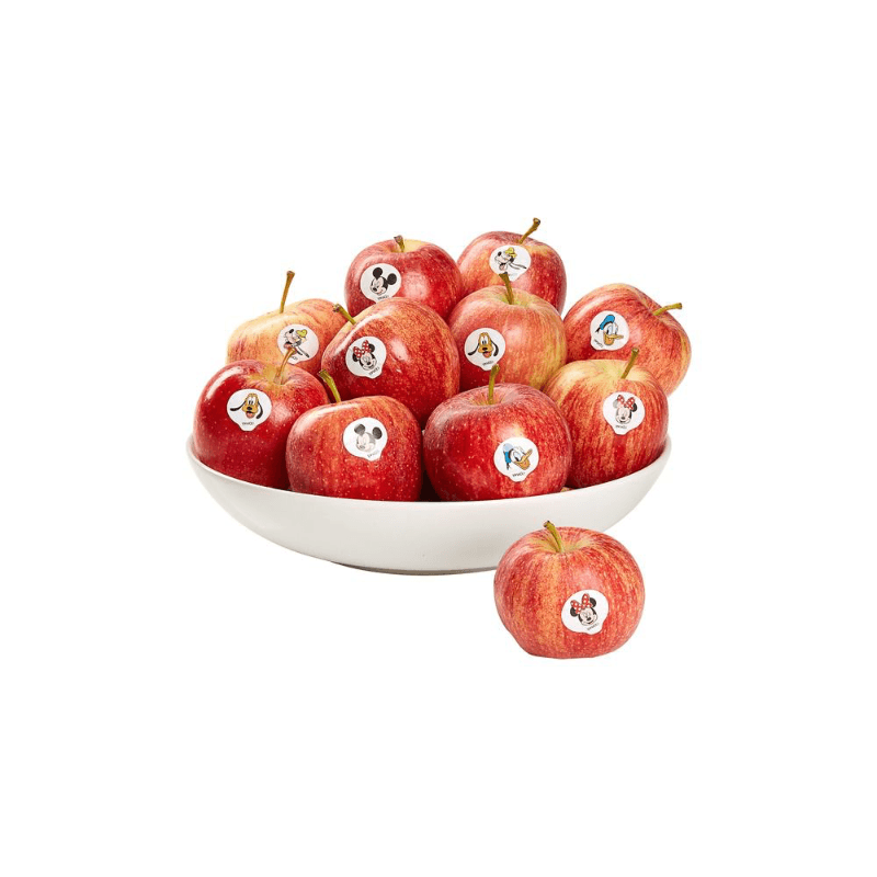 Product gallery 737